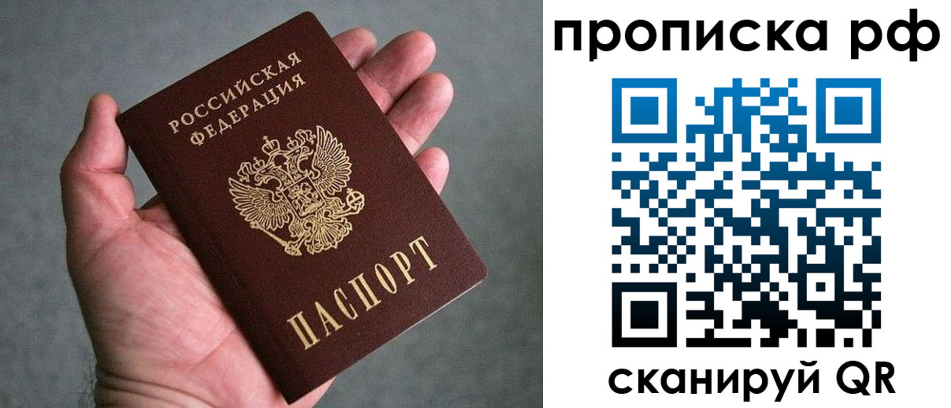 прописка поиск в Кудрово